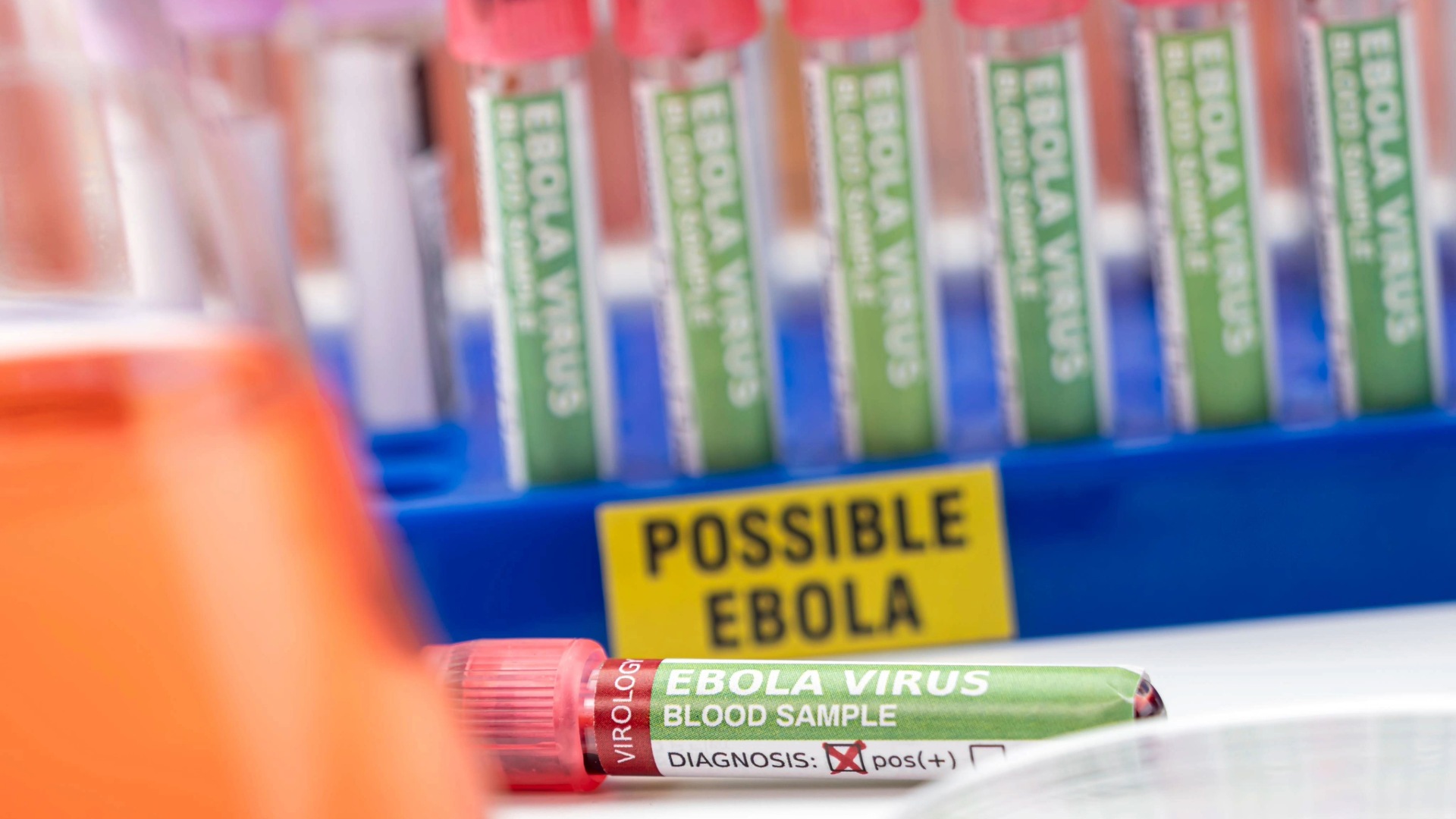Lo spettro di Ebola