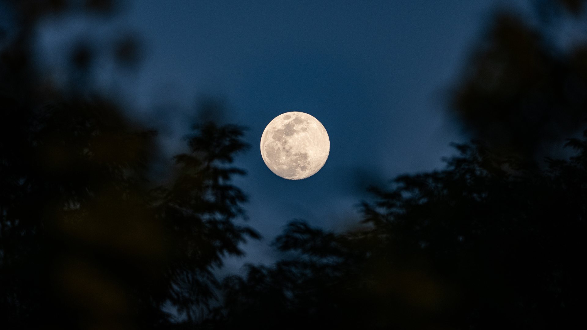 Parole al vento – Prossima Fermata: Luna e Oltre