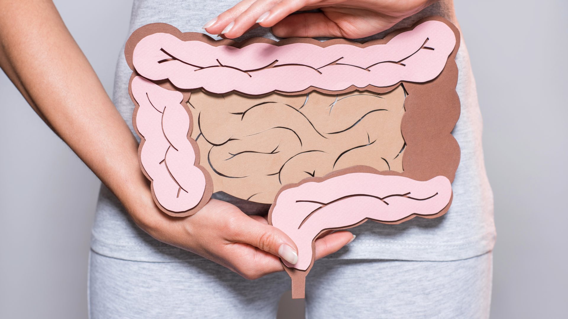 intestino