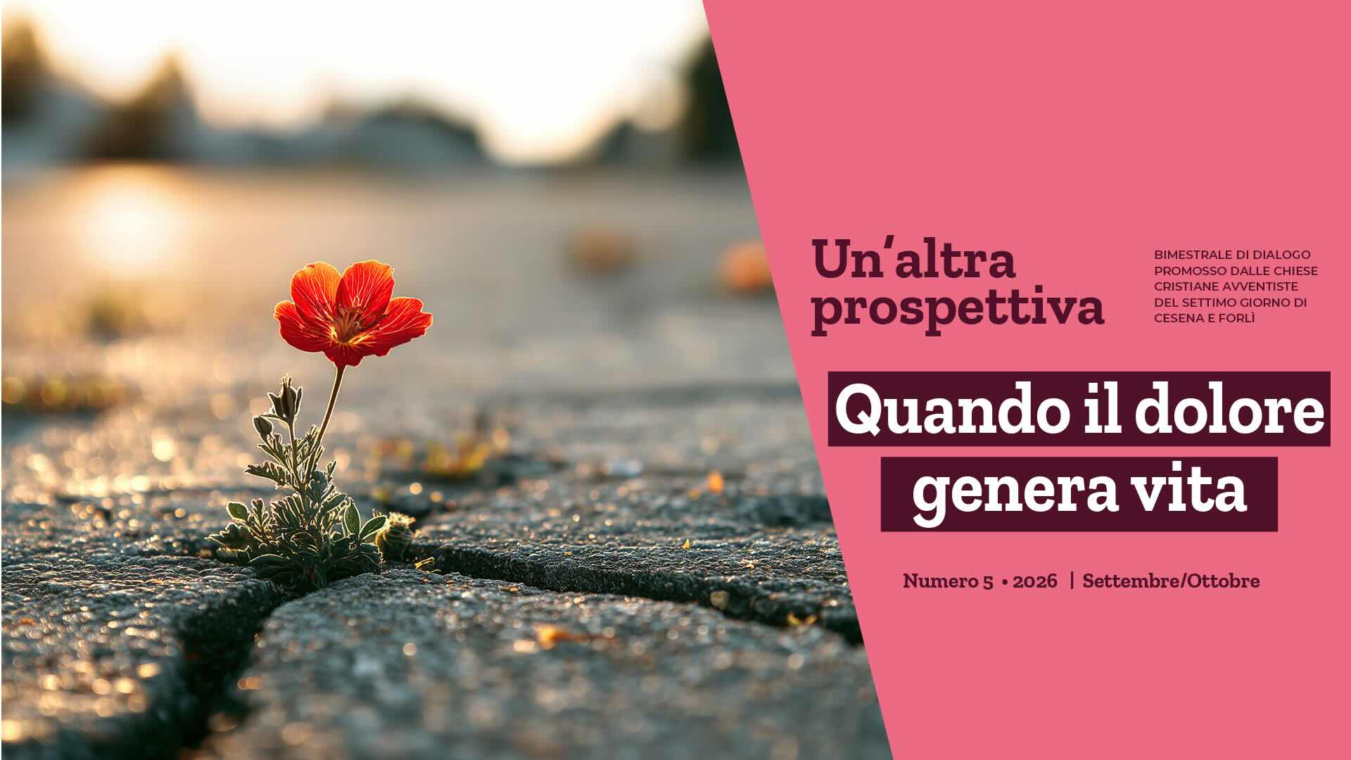 Un’altra prospettiva. Quando il dolore genera vita