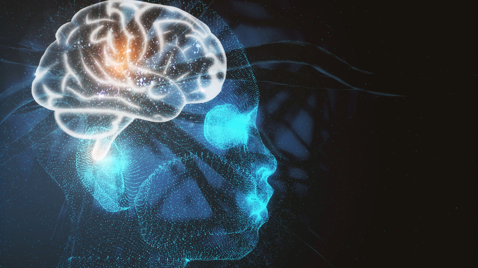 Dentro il cervello: percezione e predizioni