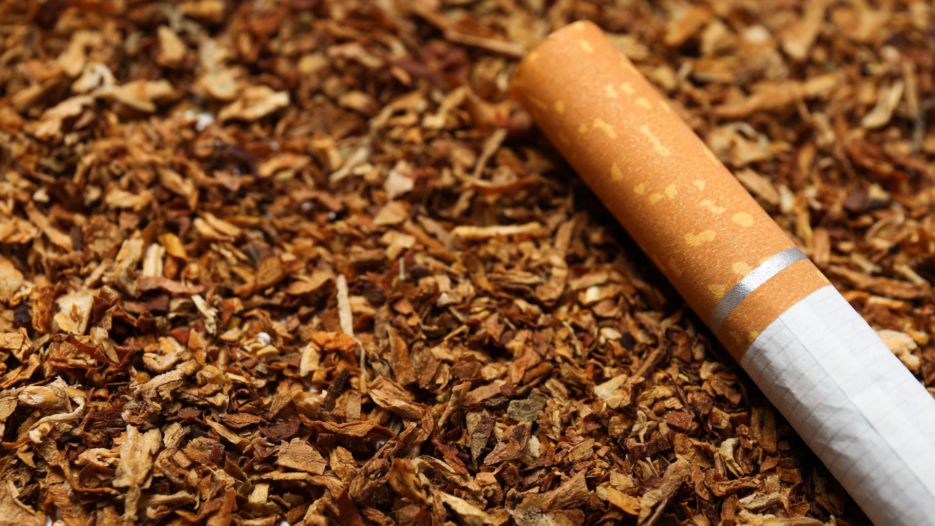 Tabacco: “Fatti e misfatti di una lunga storia”