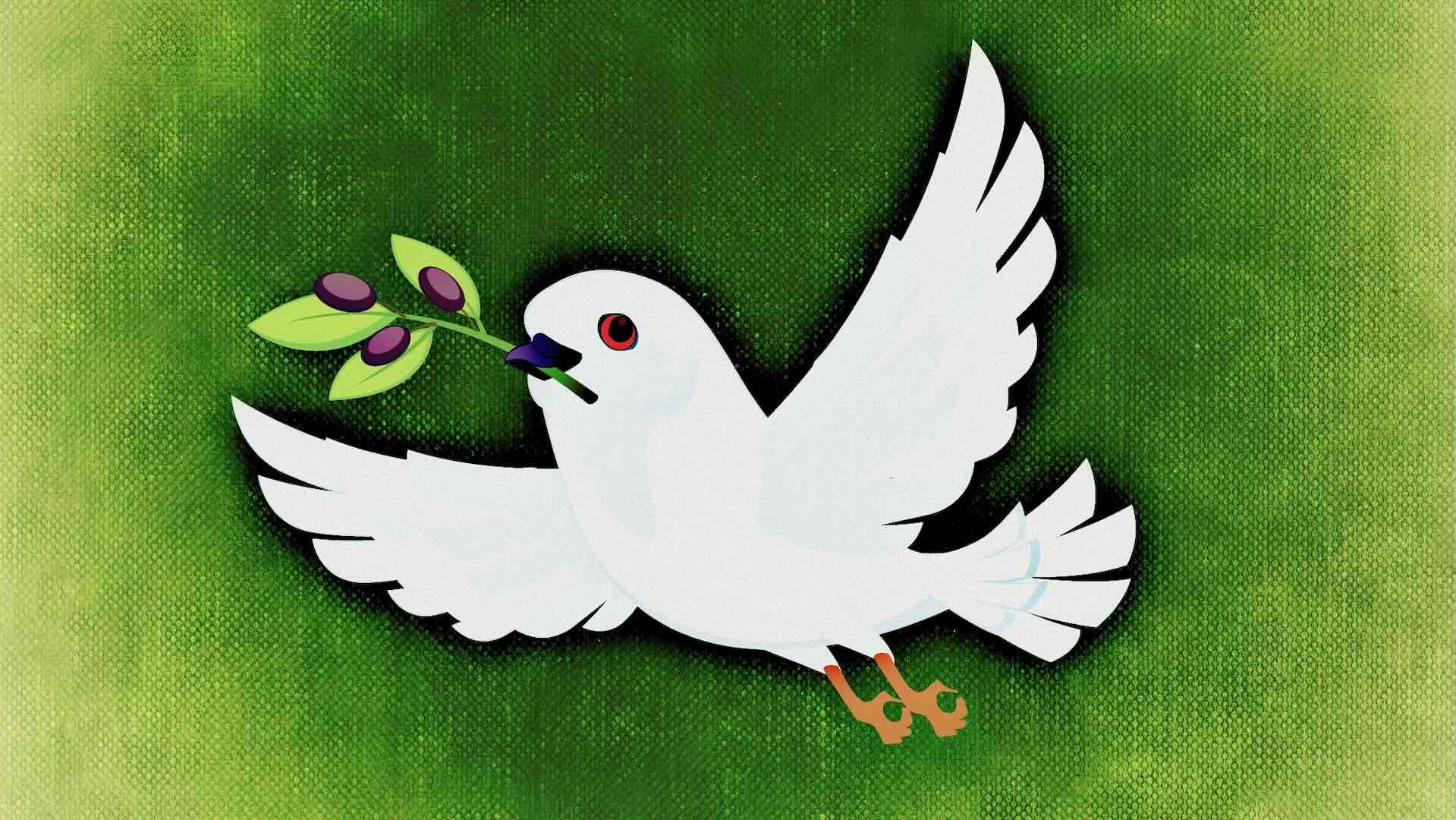 Il valore di ciò che abbiamo, per un mondo non violento