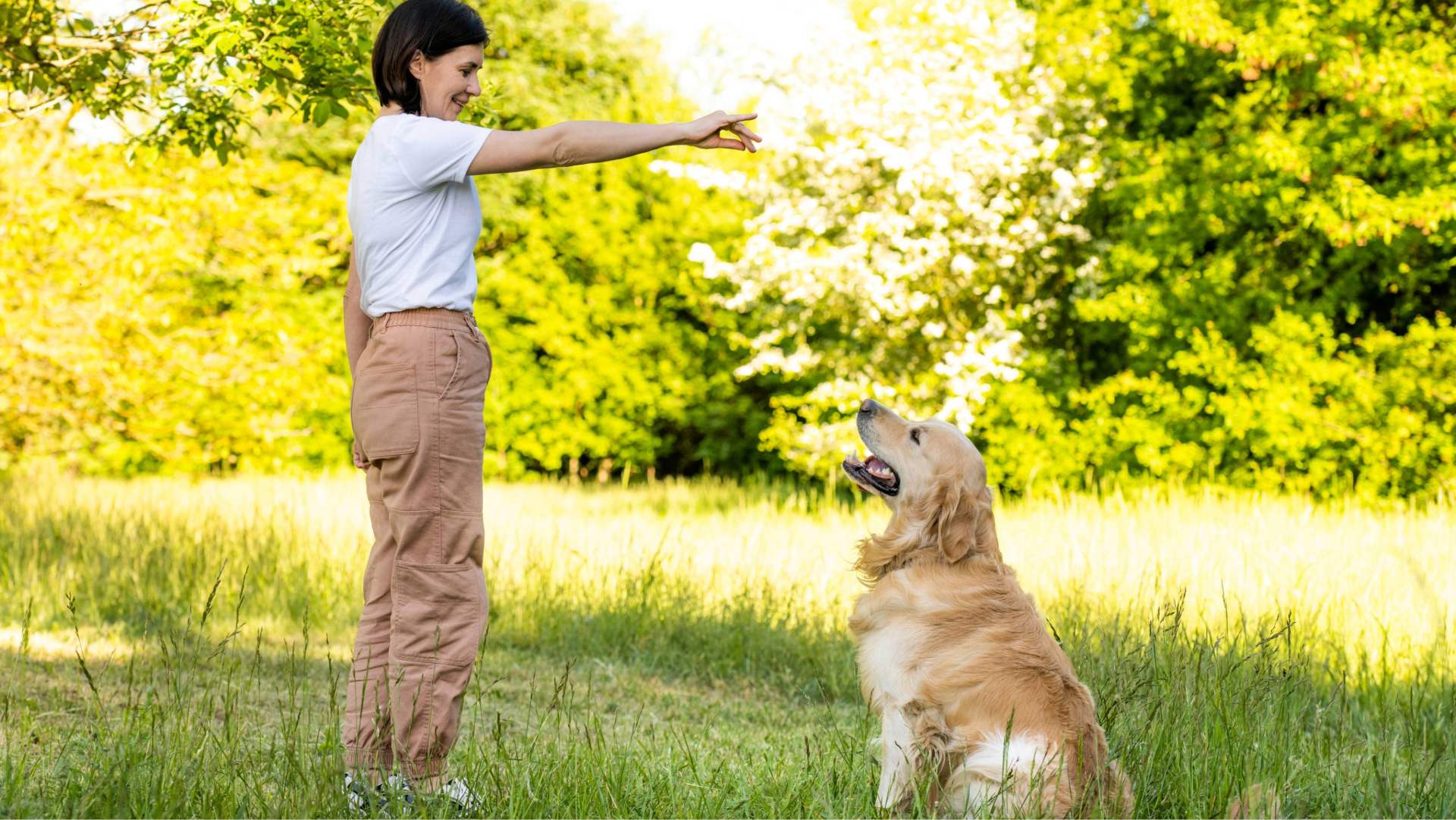 addestrare cane