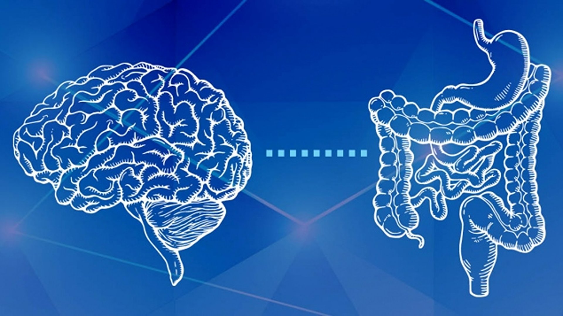 Микробиота-кишечник-мозг. Связь мозга и кишечника. Кишечник и цнс. Микробиота-кишечник-мозг. Ось микробиом кишечник мозг.