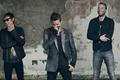 muse
