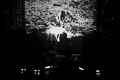 fullmoonzine.cz