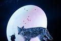 fullmoonzine.cz