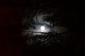 fullmoonzine.cz
