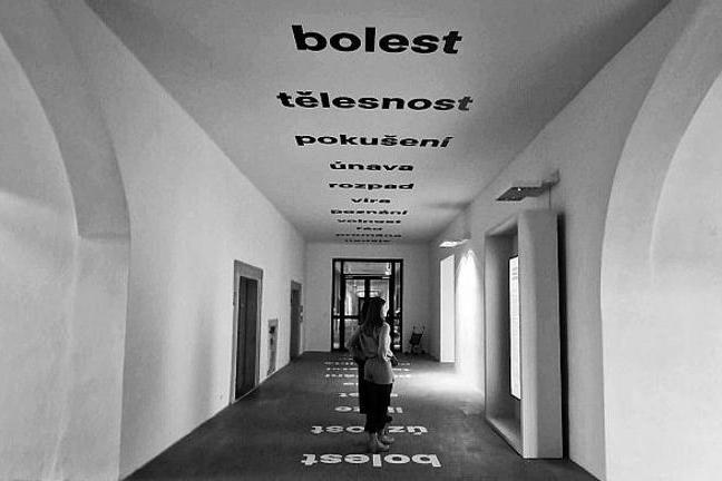 fullmoonzine.cz