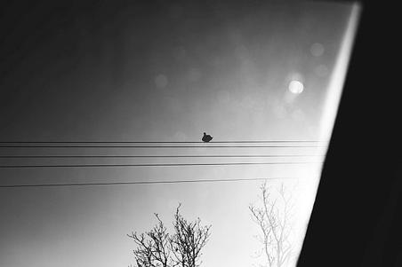 fullmoonzine.cz