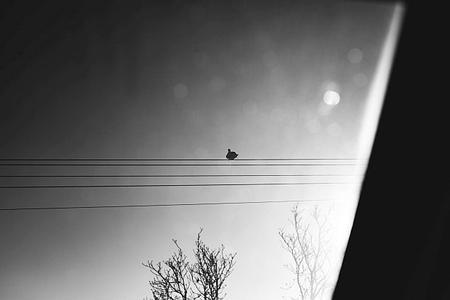fullmoonzine.cz