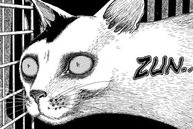 fullmoonzine.cz