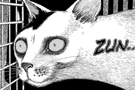 fullmoonzine.cz
