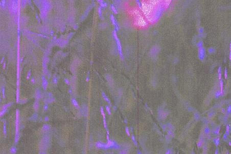 fullmoonzine.cz
