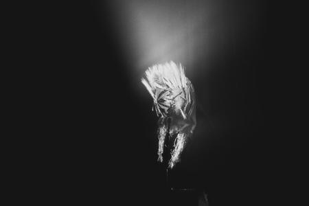 fullmoonzine.cz