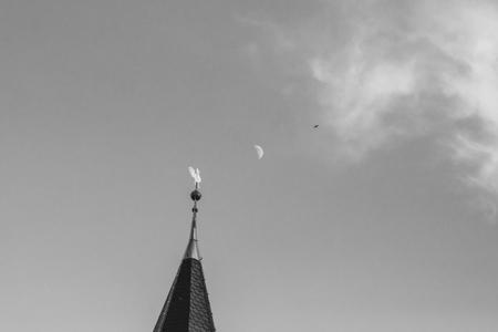 fullmoonzine.cz