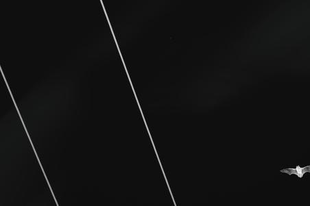 fullmoonzine.cz