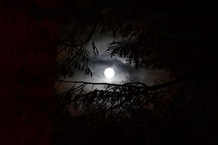 fullmoonzine.cz
