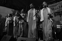DSC_0238 (1)