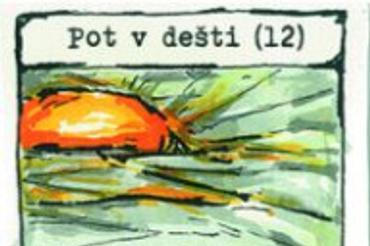 vizualy_petrlik_006