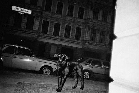 fullmoonzine.cz