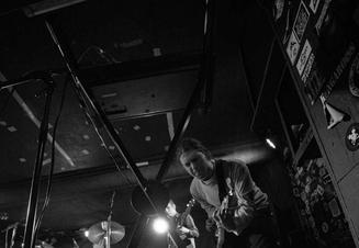 PleaseTheTrees_3