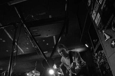PleaseTheTrees_3