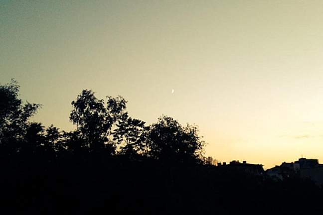 fullmoonzine.cz