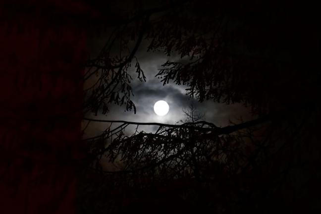 fullmoonzine.cz