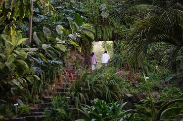 EstufaFria3