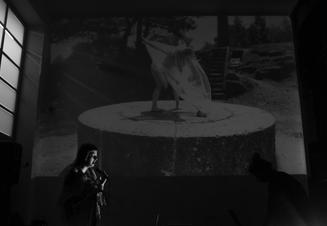 02-mala_herba