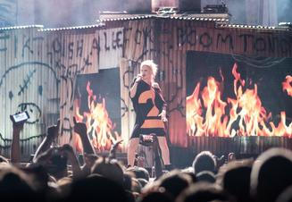 die antwoord_