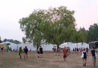 03_Off_Festival_09_08_2015_Katovice