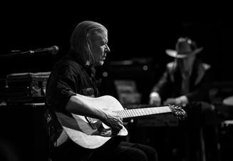 swans_01 (1)