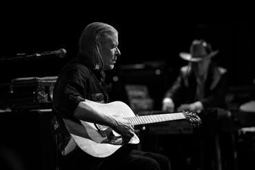 swans_01 (1)