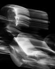 swans_02 (1)