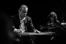 swans_04 (1)