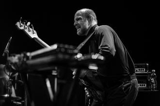 swans_06 (1)