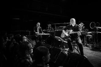 swans_05 (1)