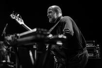 swans_06 (1)