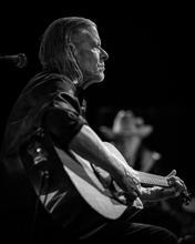 swans_07 (1)