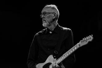 swans_10