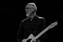swans_10