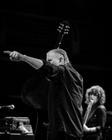 swans_09 (1)