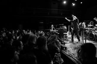 swans_11 (1)