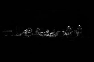 swans_12 (1)