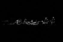 swans_12 (1)