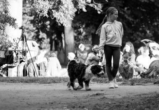 Folkovky