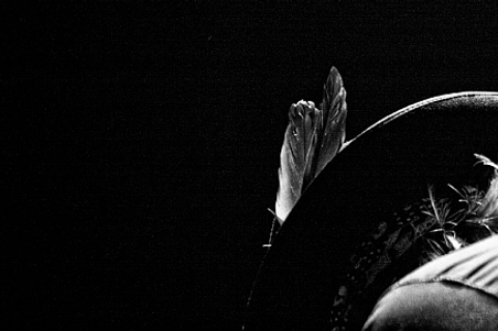 fullmoonzine.cz